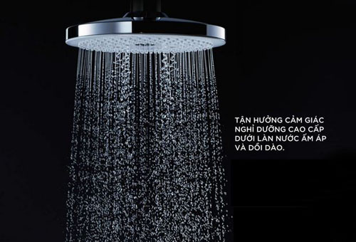 Sen cây Toto TBW04401J
